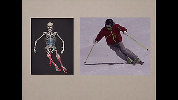 Refine your edging skills - The Sub Talar Joint in Skiing